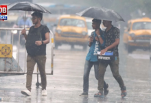 weather