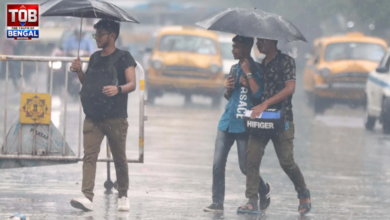 weather