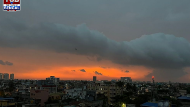 weather