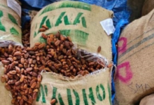 dri-seizes-pakistani-dates-maharashtra-operation-deep-manifest