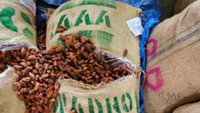 dri-seizes-pakistani-dates-maharashtra-operation-deep-manifest