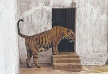 alipore-zoo-animal-health-forest-ministers-inspection-kolkata