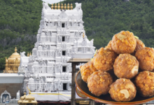 tirupati-ghee-adulteration-ed-arrests-sukriti-foods