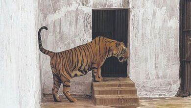 alipore-zoo-animal-health-forest-ministers-inspection-kolkata