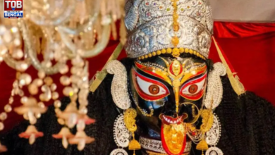 naihati boro maa
