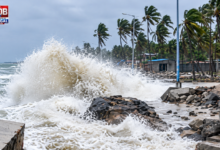 cyclone arnab