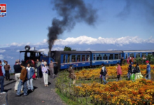 darjeeling