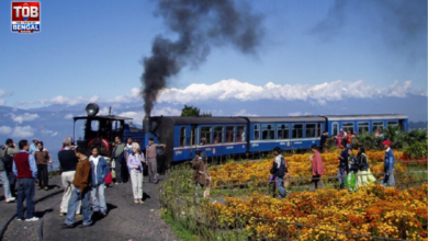darjeeling