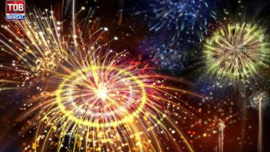 firecrackers rule