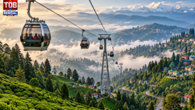 ropeway
